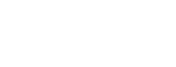 Snake-Line Consulting